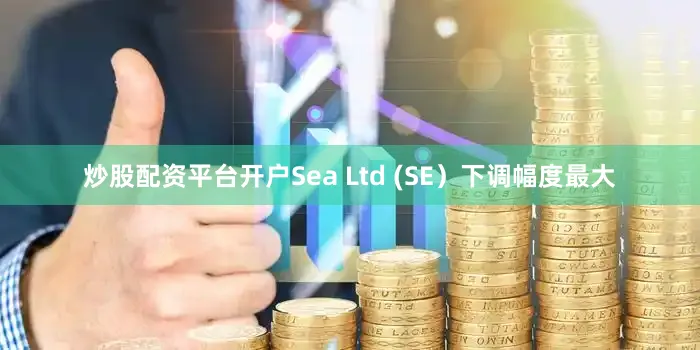 炒股配资平台开户Sea Ltd (SE）下调幅度最大