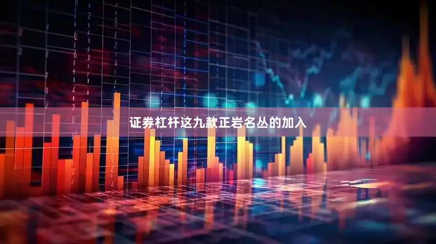 证券杠杆这九款正岩名丛的加入
