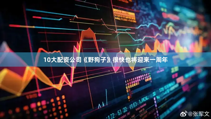 10大配资公司《野狗子》很快也将迎来一周年