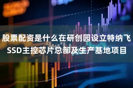 股票配资是什么在研创园设立特纳飞SSD主控芯片总部及生产基地项目
